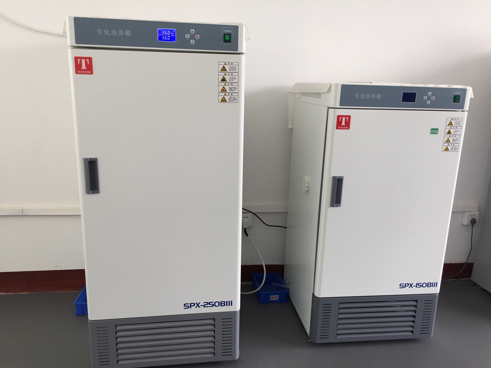 生化培养箱